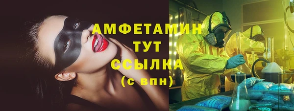 гидра Михайловск