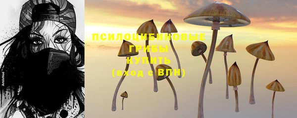 гидра Михайловск
