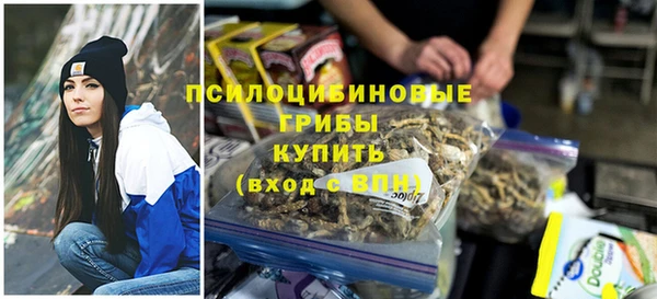 герыч Мегион