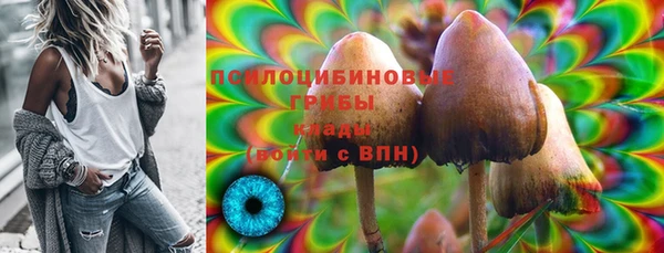 амф Майский
