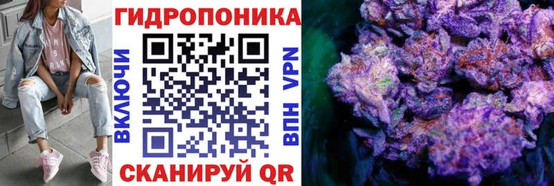 где можно купить наркотик  Ковдор  ссылка на мегу зеркало  Конопля сатива 